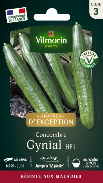 Potagères - Concombre Gynial HF1 - SDJ - Graines d'Exception - PACKAGING_RECTO